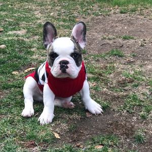 Meet your Posher, Debbie